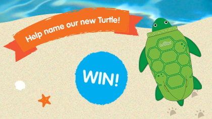 Help name our new PaddlePak Turtle
