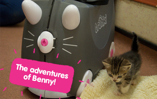 The Adventures of Benny the cat Trunki!