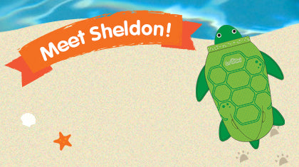 Meet Sheldon, the new PaddlePak Sea Turtle