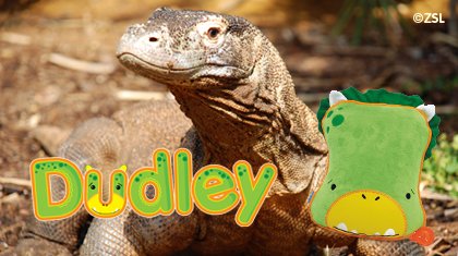 ZSL Animal Conservation: Dudley the Dinosaur SnooziHedz