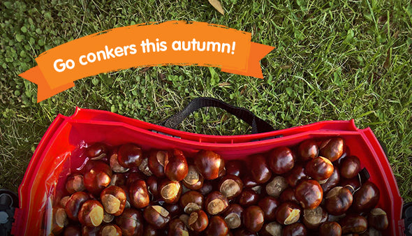 Autumn Activities For Kids - Wrap up Warm and Head Outside!