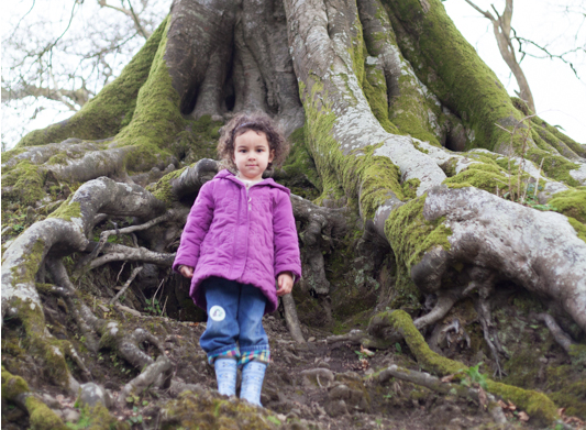 How to Involve a Preschooler in your Holiday Planning