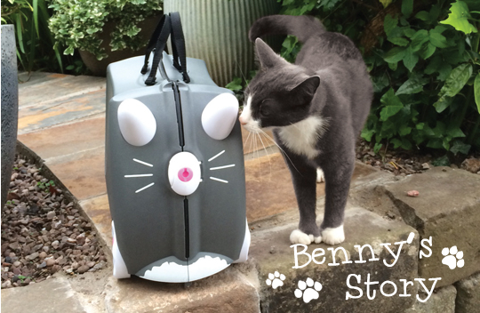 Benny The Cat Trunki Is Here!