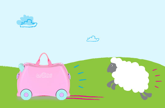Just another average day at the office... sheep herding!