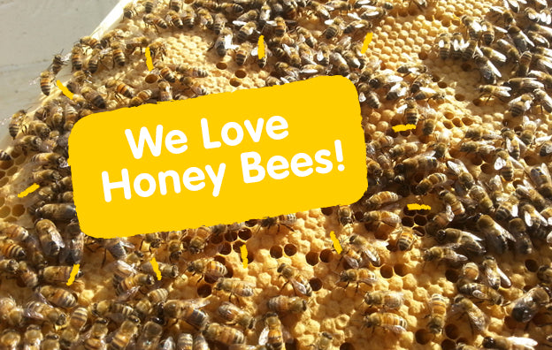 National Honeybee Day – WIN a Bernard Bee Trunki!